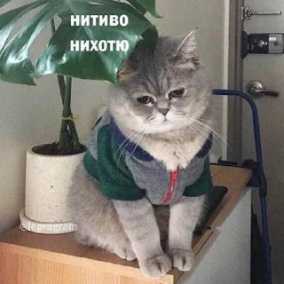 😔-Это конец, Telegram Sticker