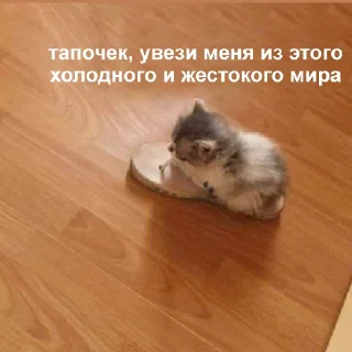 😢-Это конец, Telegram Sticker
