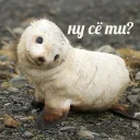 🙄-Это конец, Telegram Sticker