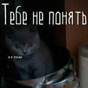 🖕-Это конец, Telegram Sticker