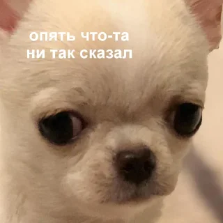 😒-Это конец, Telegram Sticker