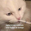 🤔-Это конец, Telegram Sticker