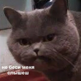 😡-Это конец, Telegram Sticker