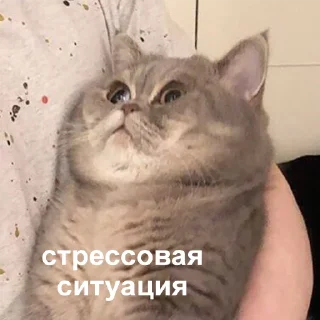 🙁-Это конец, Telegram Sticker