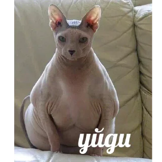 😒-Это конец, Telegram Sticker