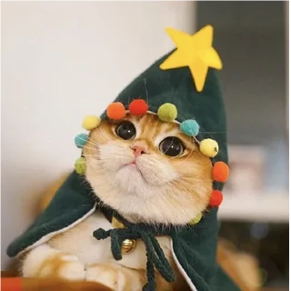 🧙‍♂️-Это конец, Telegram Sticker