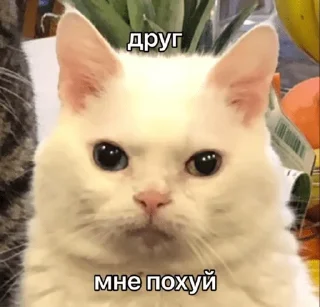 😑-Это конец, Telegram Sticker