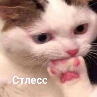 😐-Это конец, Telegram Sticker
