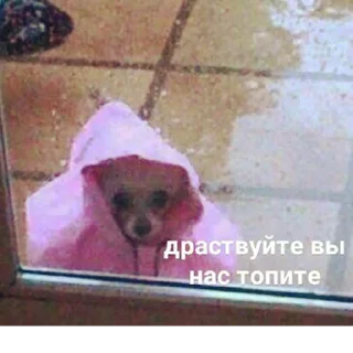 😓-Это конец, Telegram Sticker