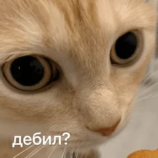 🙄-Это конец, Telegram Sticker