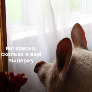 😑-Это конец, Telegram Sticker