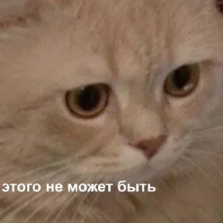 😐-Это конец, Telegram Sticker