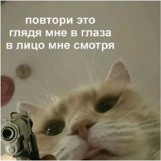 😠-Это конец, Telegram Sticker