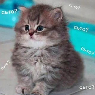 🙄-Это конец, Telegram Sticker