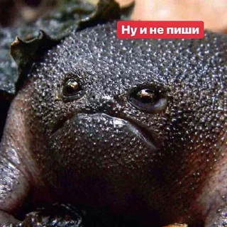 😐-Это конец, Telegram Sticker