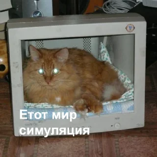 🥸-Это конец, Telegram Sticker