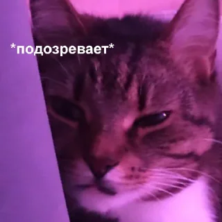 🤔-Это конец, Telegram Sticker