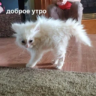 😓-Это конец, Telegram Sticker