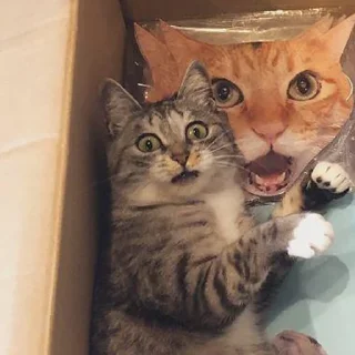 😳-Это конец, Telegram Sticker