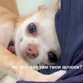 🙂-Это конец, Telegram Sticker