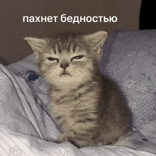 🧐-Это конец, Telegram Sticker
