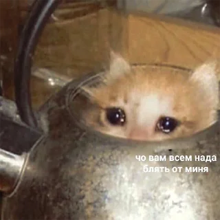 😭-Это конец, Telegram Sticker