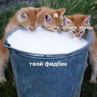 😍-Это конец, Telegram Sticker