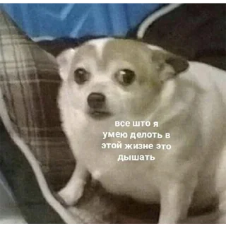 😰-Это конец, Telegram Sticker