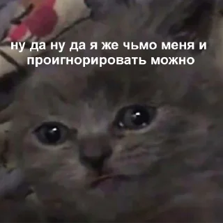 😢-Это конец, Telegram Sticker