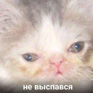 😒-Это конец, Telegram Sticker