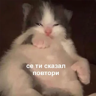 🤨-Это конец, Telegram Sticker