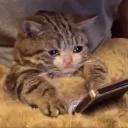 😢-Это конец, Telegram Sticker