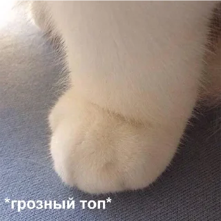 😤-Это конец, Telegram Sticker