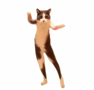 🕺-TikTok Animals @TgSticker, Telegram Sticker