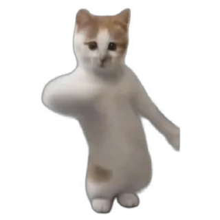💃-TikTok Animals @TgSticker, Telegram Sticker