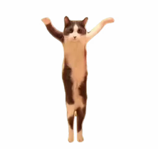 🕺-TikTok Animals @TgSticker, Telegram Sticker