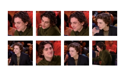 Chalamet @lord_cullen