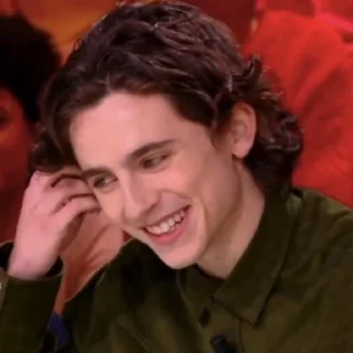 🎨-Chalamet @lord_cullen, Telegram Sticker