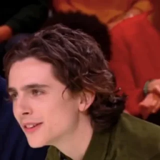 🎨-Chalamet @lord_cullen, Telegram Sticker