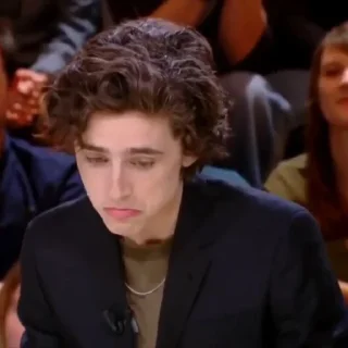 🎨-Chalamet @lord_cullen, Telegram Sticker