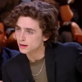 🎨-Chalamet @lord_cullen, Telegram Sticker