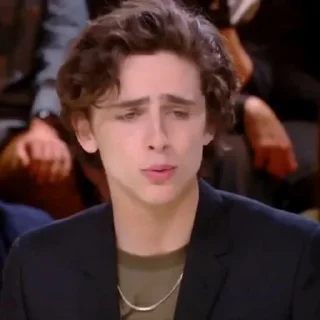 🎨-Chalamet @lord_cullen, Telegram Sticker
