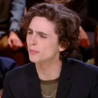 🎨-Chalamet @lord_cullen, Telegram Sticker