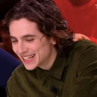 🎨-Chalamet @lord_cullen, Telegram Sticker