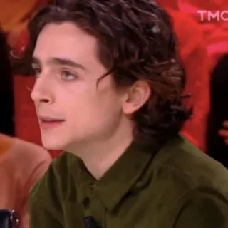 🎨-Chalamet @lord_cullen, Telegram Sticker