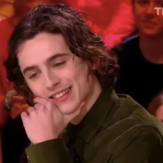 🎨-Chalamet @lord_cullen, Telegram Sticker