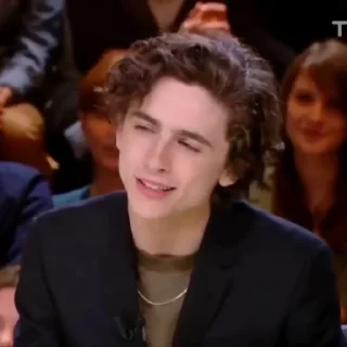 🎨-Chalamet @lord_cullen, Telegram Sticker