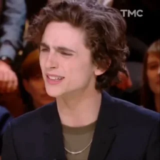 🎨-Chalamet @lord_cullen, Telegram Sticker