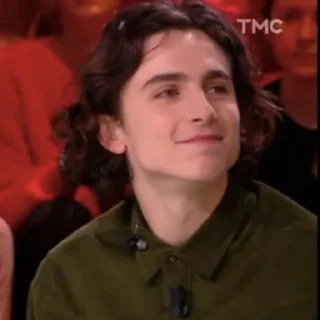 🎨-Chalamet @lord_cullen, Telegram Sticker