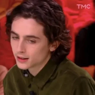 🎨-Chalamet @lord_cullen, Telegram Sticker